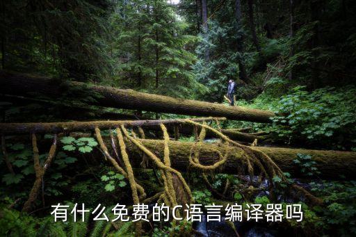 有什么免費(fèi)的C語(yǔ)言編譯器嗎