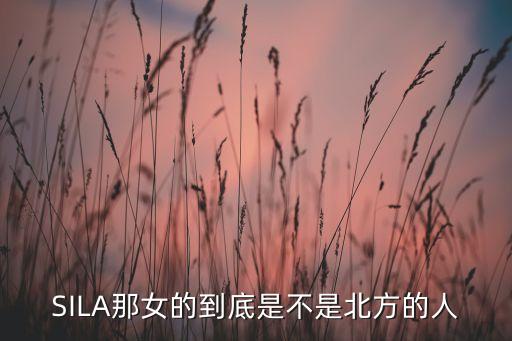 SILA那女的到底是不是北方的人