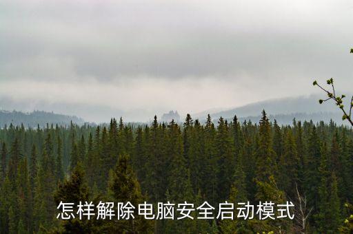 怎樣解除電腦安全啟動模式
