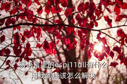 espi，ESPI是什么的簡寫