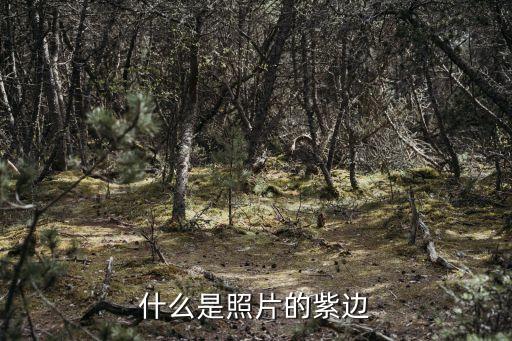紫邊，有紫邊現(xiàn)象是什么意思啊