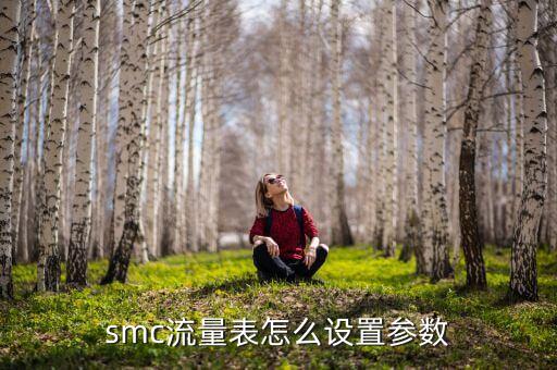 流量表，銅芯載流量表