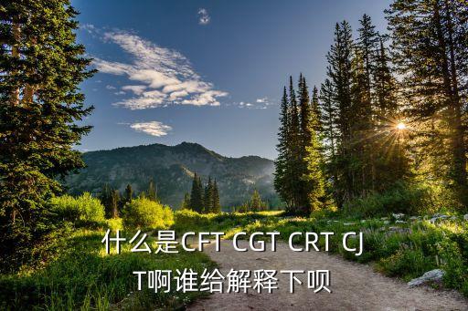 cjt，CJT 抽油機節(jié)能拖動裝置中CJT什么意思