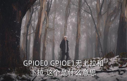 GPIOE0 GPIOE1無(wú)上拉和下拉 這個(gè)是什么意思