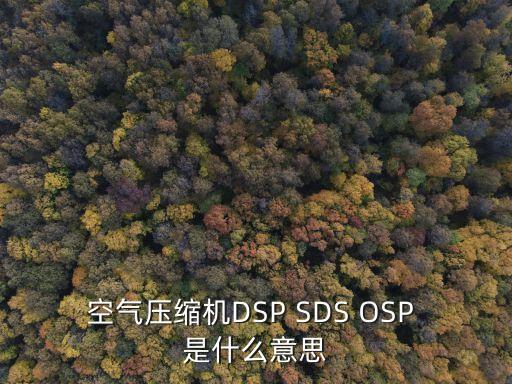 空氣壓縮機DSP SDS OSP 是什么意思