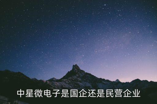 中星微電子，中星微電子待遇怎么樣啊