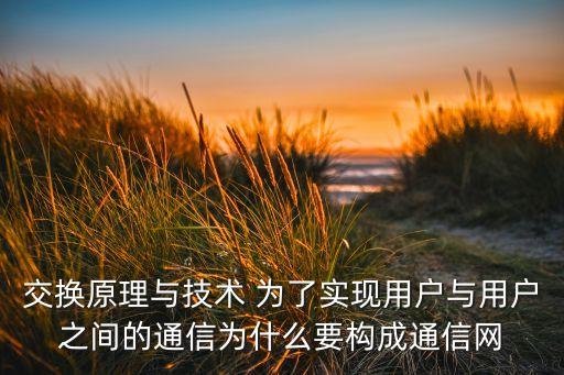 交換原理與技術(shù) 為了實現(xiàn)用戶與用戶之間的通信為什么要構(gòu)成通信網(wǎng)