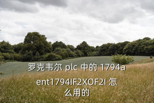羅克韋爾plc，羅可韋尓ABPLC