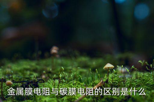 金屬膜電阻，金屬膜電阻與碳膜電阻的區(qū)別是什么