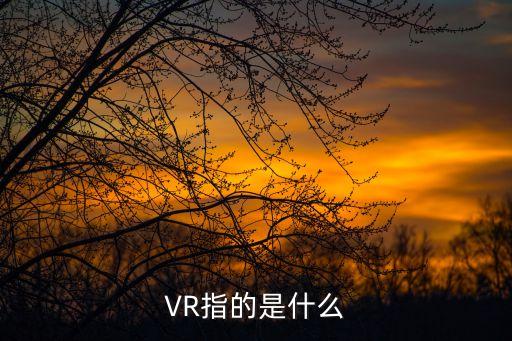 vr的全稱，VR指的是什么