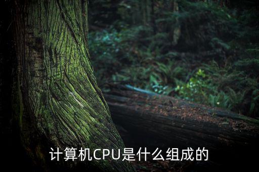 計算機CPU是什么組成的