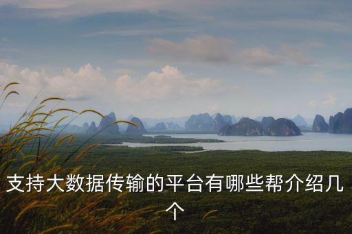支持大數(shù)據(jù)傳輸?shù)钠脚_有哪些幫介紹幾個