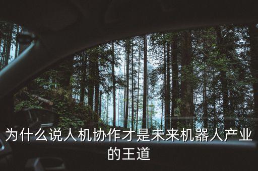 為什么說人機(jī)協(xié)作才是未來機(jī)器人產(chǎn)業(yè)的王道