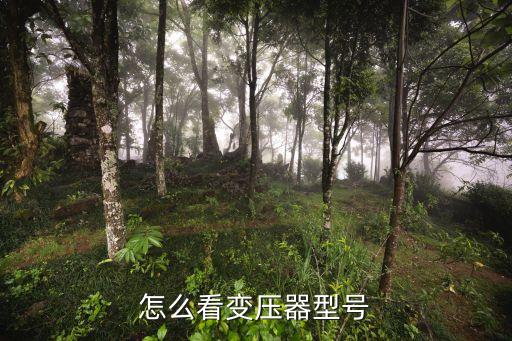 怎么看變壓器型號