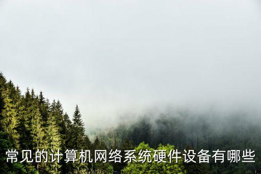 常見的計算機網(wǎng)絡系統(tǒng)硬件設備有哪些