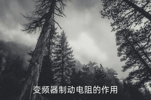 變頻器制動(dòng)電阻的作用