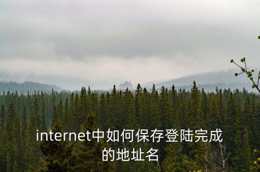 internet中如何保存登陸完成的地址名