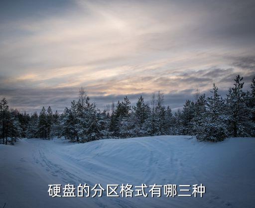 硬盤(pán)的分區(qū)格式有哪三種