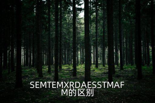 SEMTEMXRDAESSTMAFM的區(qū)別