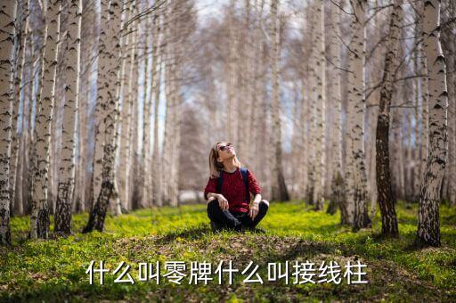 接線柱，什么叫零牌什么叫接線柱