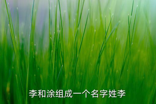 李和涂組成一個(gè)名字姓李