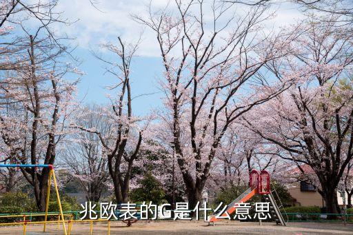 兆歐表的G是什么意思
