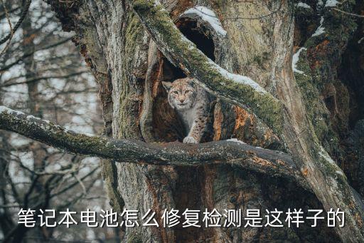 筆記本電池修復(fù)，筆記本電池的修復(fù)方法
