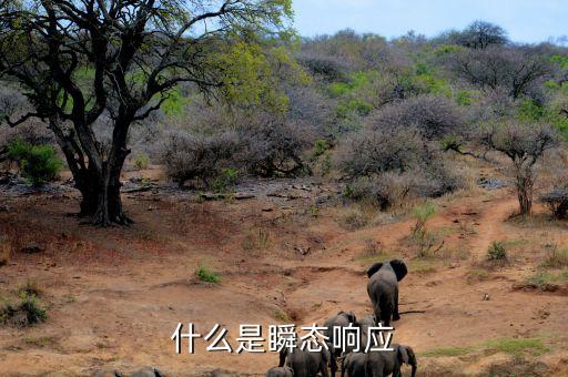 瞬態(tài)響應(yīng)，什么是瞬態(tài)響應(yīng)