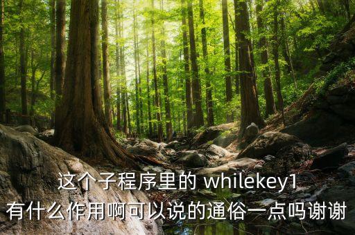 這個(gè)子程序里的 whilekey1有什么作用啊可以說的通俗一點(diǎn)嗎謝謝
