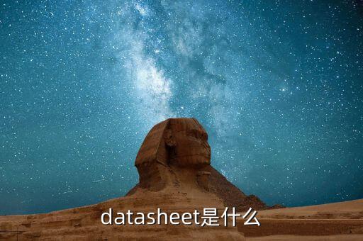 datasheet是什么