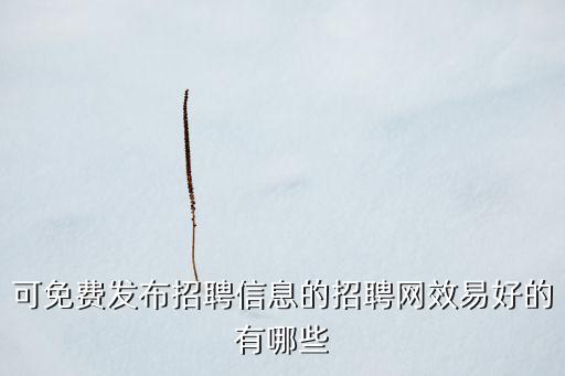 可免費(fèi)發(fā)布招聘信息的招聘網(wǎng)效易好的有哪些