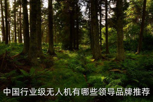 中國(guó)行業(yè)級(jí)無(wú)人機(jī)有哪些領(lǐng)導(dǎo)品牌推薦