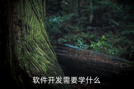 后端需要學(xué)什么，Android開(kāi)發(fā)的后臺(tái)屬于后端嗎應(yīng)該學(xué)習(xí)些什么知識(shí)才能開(kāi)發(fā)后臺(tái)