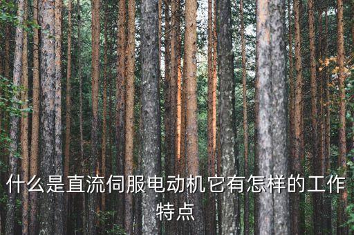 直流伺服電機(jī)，直流伺服電機(jī)的分類有誰能給個詳細(xì)點的