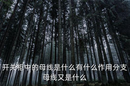 開關柜中的母線是什么有什么作用分支母線又是什么