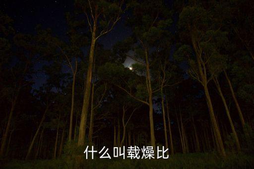 什么叫載燥比