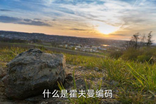 什么是霍夫曼編碼