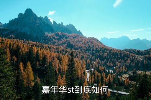 福特嘉年華st，福特嘉年華st怎么樣福特嘉年華st高性能小車深度解析 玩車網(wǎng)