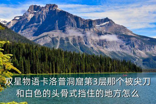 雙星物語(yǔ)卡洛普洞窟第3層那個(gè)被尖刀和白色的頭骨式擋住的地方怎么