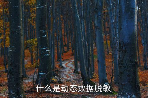 數(shù)據(jù)脫敏，數(shù)據(jù)靜態(tài)脫敏的處理方式有哪些