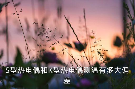 s型熱電偶，N型熱電偶和S型熱電偶哪個用的溫度高