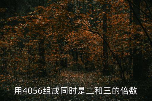 用4056組成同時是二和三的倍數(shù)