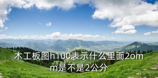 木工板圖h100表示什么里面2omm是不是2公分