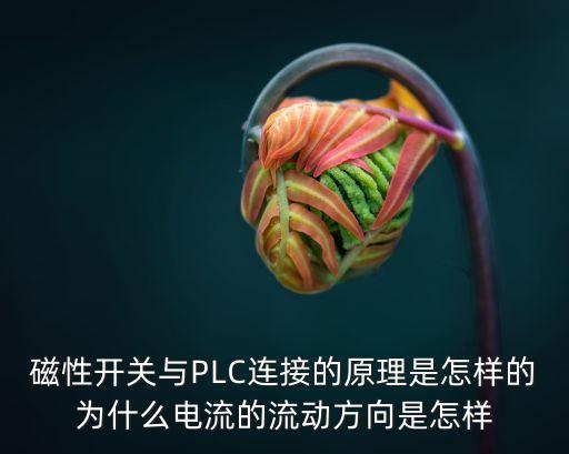 磁性開關(guān)工作原理，請問電磁門開關(guān)的工作原理是什么