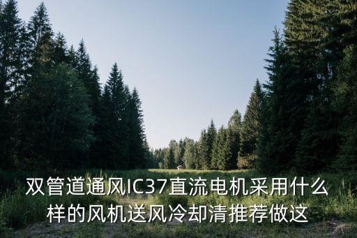 雙管道通風(fēng)IC37直流電機(jī)采用什么樣的風(fēng)機(jī)送風(fēng)冷卻清推薦做這