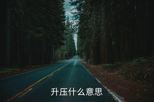 升壓什么意思