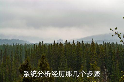系統(tǒng)分析經(jīng)歷那幾個(gè)步驟