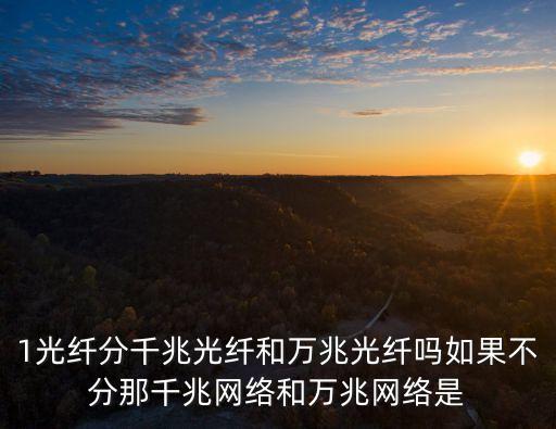 1光纖分千兆光纖和萬兆光纖嗎如果不分那千兆網(wǎng)絡和萬兆網(wǎng)絡是