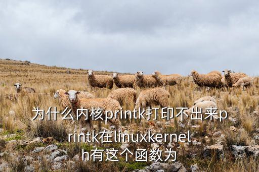 為什么內(nèi)核printk打印不出來printk在linuxkernelh有這個函數(shù)為