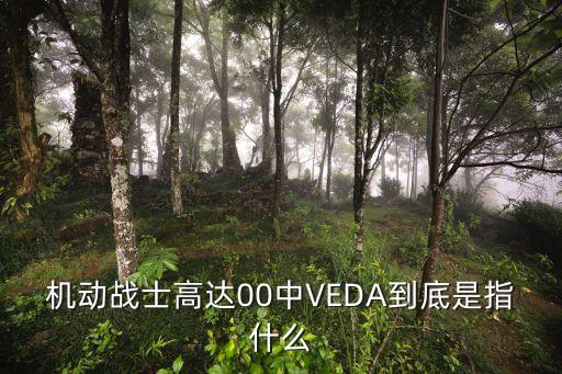 機(jī)動(dòng)戰(zhàn)士高達(dá)00中VEDA到底是指什么